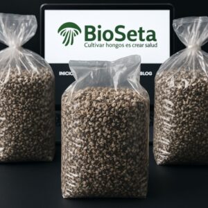 Semillas de Melena de León (Hericium erinaceus) – 1 Kg